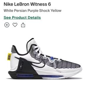 Gently used Lebron Witness Men’s shoes
